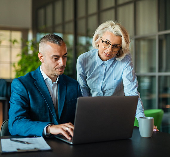 Professionals working together on a business project